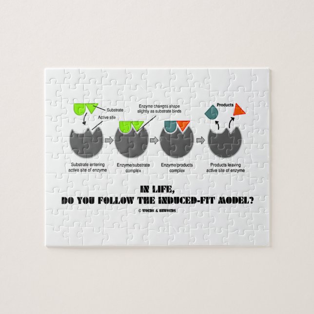 Im Leben folgen Sie dem Verursachen-Sitz Modell? Puzzle (Horizontal)