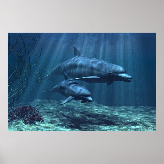 Im Licht Poster (Vorne)