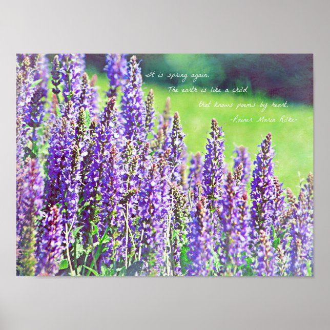 im lila Tal Poster (Vorne)