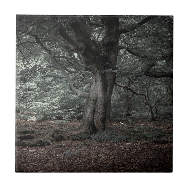 Im Märchenwald Fliese (Vorderseite)