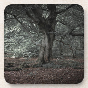 Im Märchenwald Getränkeuntersetzer