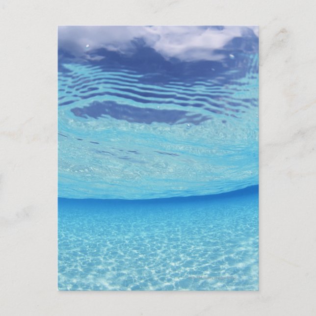 Im Meer Postkarte (Vorderseite)