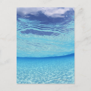 Im Meer Postkarte