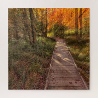 Im Moment ist das Puzzle des Acadia Nationalparks