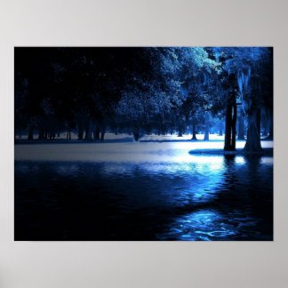 Im Mondlicht-Poster Poster