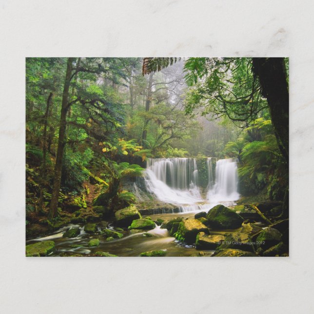 im Nationalpark Mount Field Postkarte (Vorderseite)