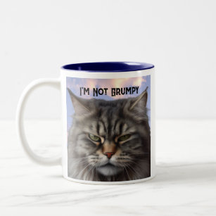 "I'm Not Grumpy" Cat-Tasse mit sarkastischer Desig Zweifarbige Tasse