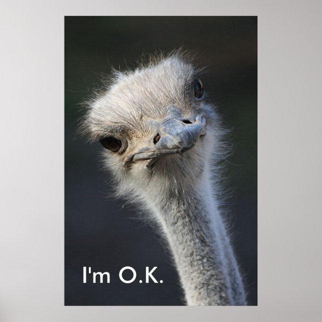 Im O.K. Poster (Vorne)