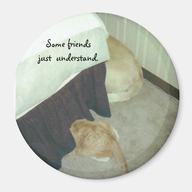 Im Rahmen des Bettes Magnet (Vorne)