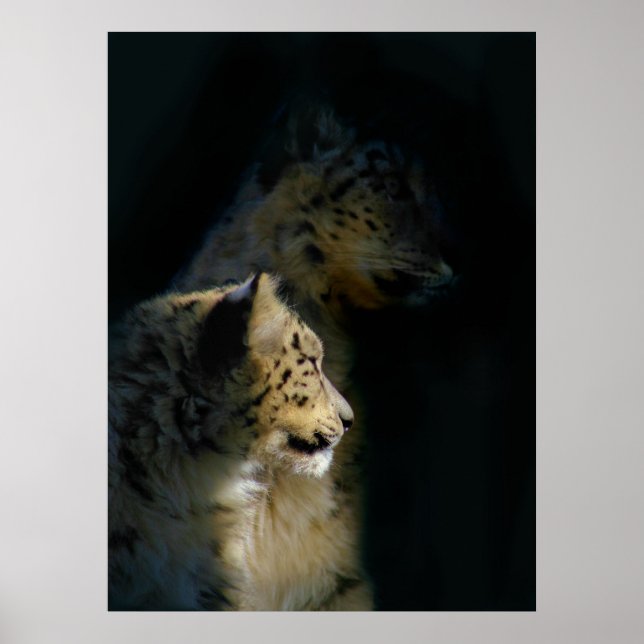 Im Schatten Poster (Vorne)