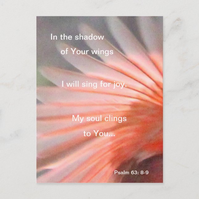 Im Schatten seiner Flügel Postkarte (Vorderseite)