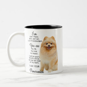 im Spitz sarkastische Grafik, sehr hund äh Zweifarbige Tasse