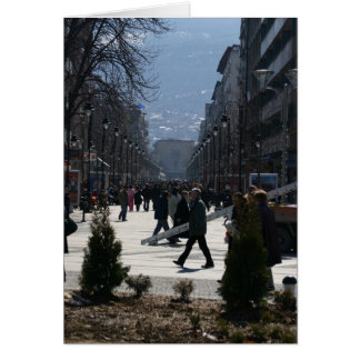 Im Stadtzentrum gelegenes Skopje 1