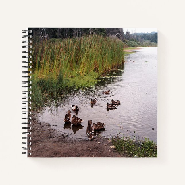 Im Sumpf.... Notizbuch (Vorderseite)