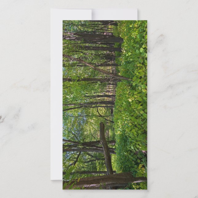 im Wald am Fort, der einen Staat Park Dankeskarte (Vorderseite)