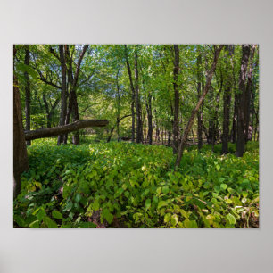 im Wald am Fort, der einen Staat Park Poster