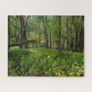 im Wald am Fort, der einen Staat Park Puzzle