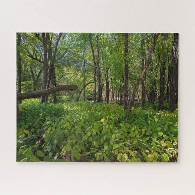im Wald am Fort, der einen Staat Park Puzzle (Horizontal)