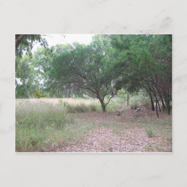 Im Wald ist ein Dinosaurier... Postkarte (Vorderseite)