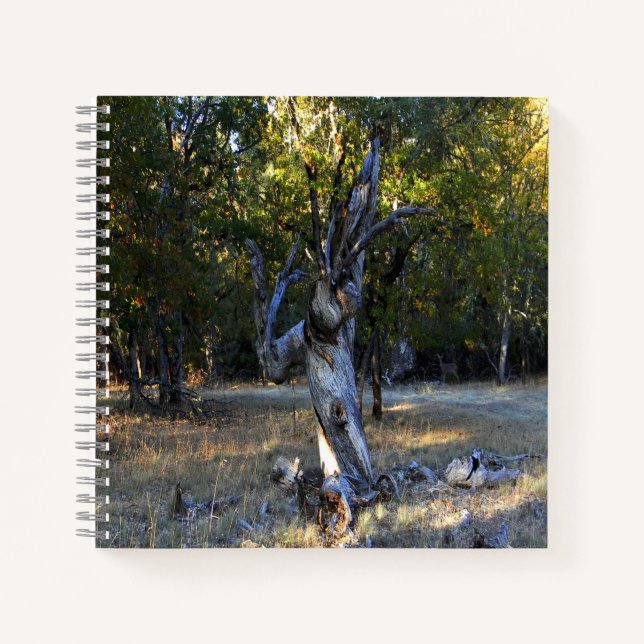 Im Wald.... Notizbuch (Vorderseite)