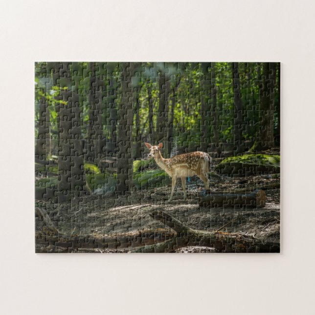 Im Wald Puzzle (Horizontal)