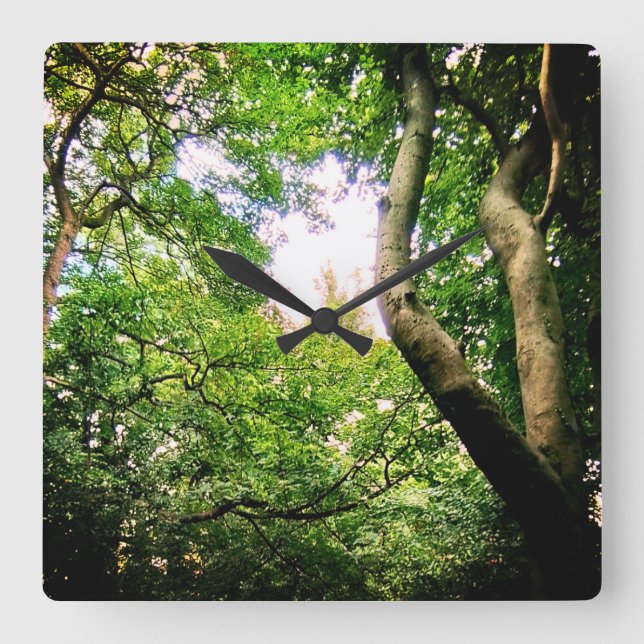 Im Wald Quadratische Wanduhr (Vorderseite)