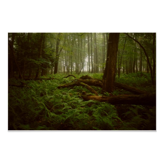 Im Wald verloren Poster (Vorderseite)