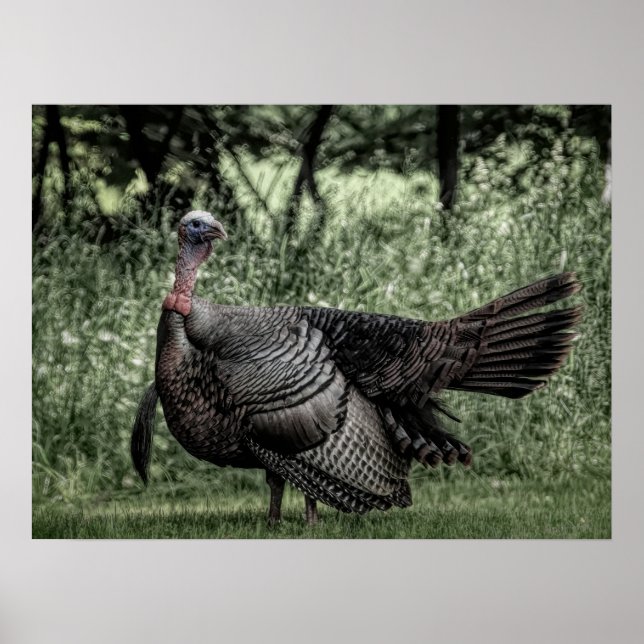 Im Wald - Weide Grün B&W Poster (Vorne)