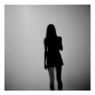 Im weißen Nebel Poster