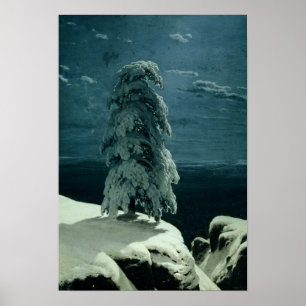 Im wilden Norden 1891 Poster