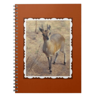 Im Zoo-Notebook Notizblock