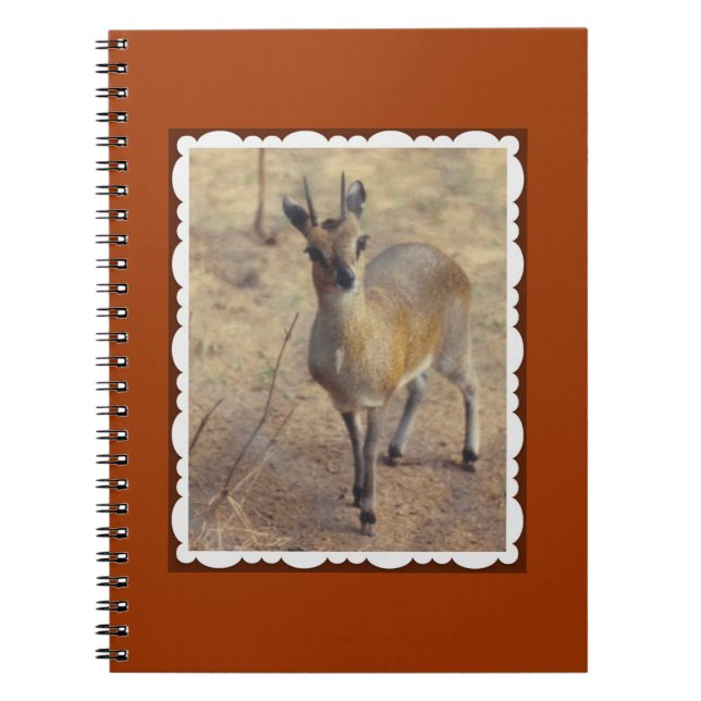 Im Zoo-Notebook Notizblock (Vorderseite)