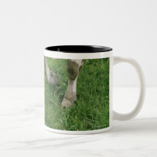ima28991 zweifarbige tasse