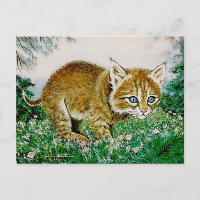 Ima Bobkitty Postkarte (Vorderseite)