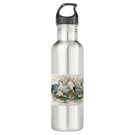 image-from-rawpixel-id-411915.jpg edelstahlflasche