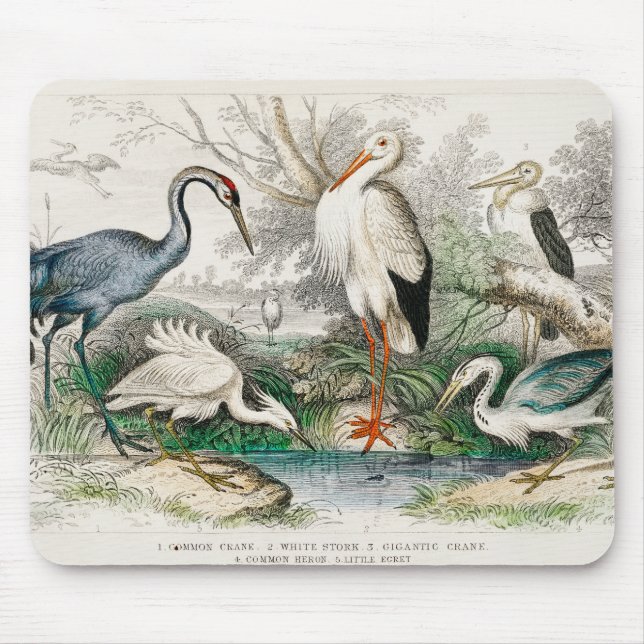 image-from-rawpixel-id-411915.jpg mousepad (Vorne)