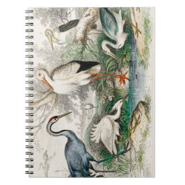 image-from-rawpixel-id-411915.jpg notizblock