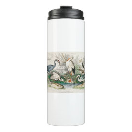 image-from-rawpixel-id-411915.jpg thermosbecher