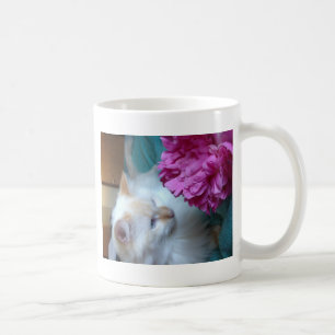 image.jpg tasse