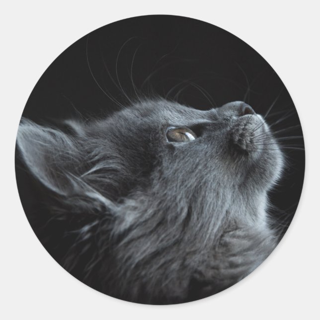 imagem que combina com qualquer escolha de colagem runder aufkleber (Vorderseite)