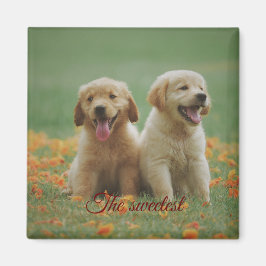 Iman cuadrado de regalo magnet