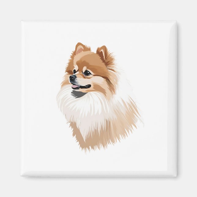 Imán ilustración perro pomerania magnet (Vorne)