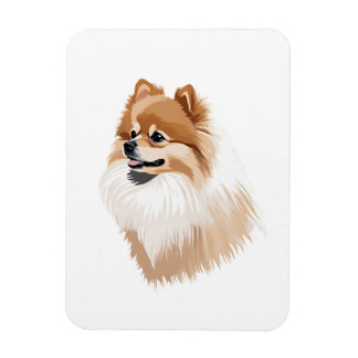 Imán nevera perro pomerania magnet