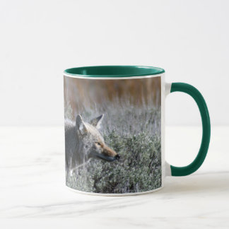 IMG_0328 TASSE