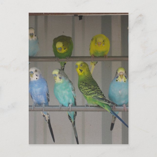 IMG_0348 POSTKARTE (Vorderseite)