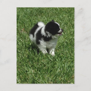 IMG_0545.JPG POSTKARTE