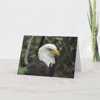 IMG_0673-Adler_12x18 Karte