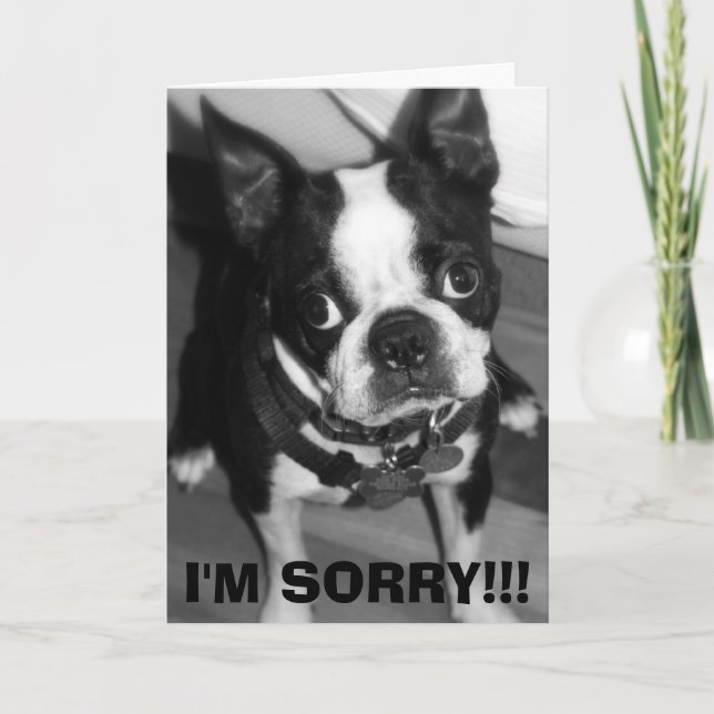 IMG_0932, ES TUT MIR LEID!!! KARTE (Vorderseite)