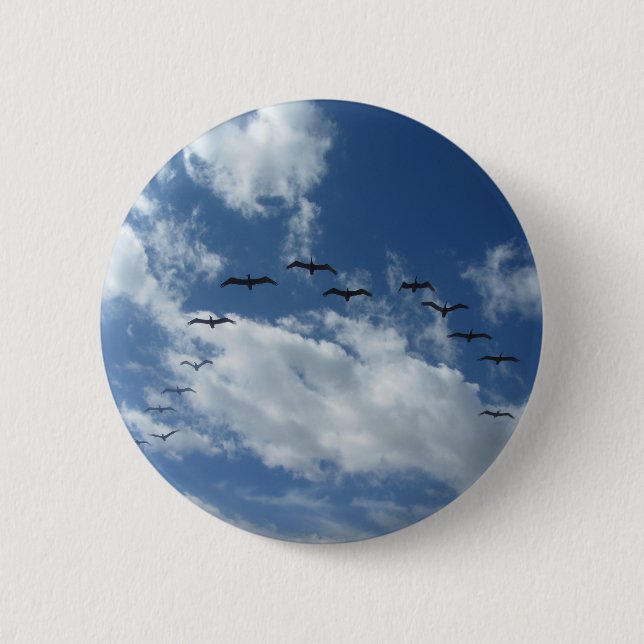 IMG_1155.JPG BUTTON (Vorderseite)