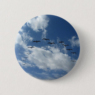 IMG_1155.JPG BUTTON